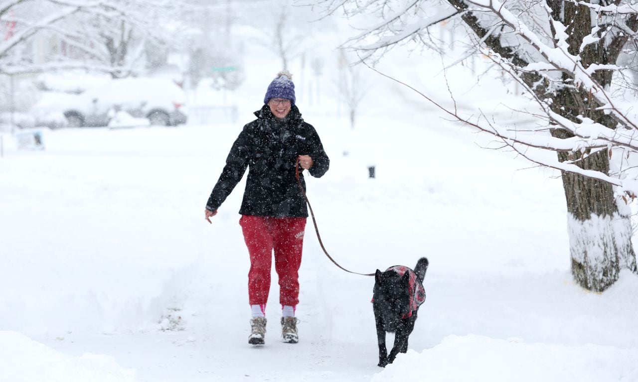 "Snowfall Totals: Upstate NY's First 2024 Storm and NYC's Snowfall Drought"
