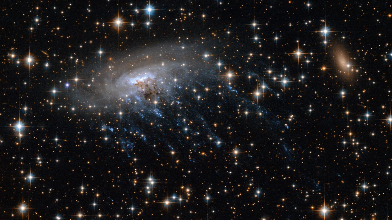Webb Finds the Earliest Jellyfish Galaxy Drifting Through a Young Cosmos