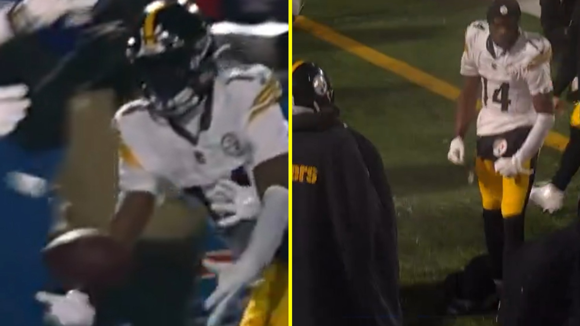 "Bills Fan's Snowball Toss Prevents Steelers Touchdown in Wild-Card Playoff Game"