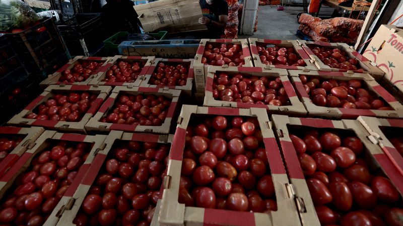 Featured image for US Tomato Prices Likely to Rise Amid Trade Dispute with Mexico