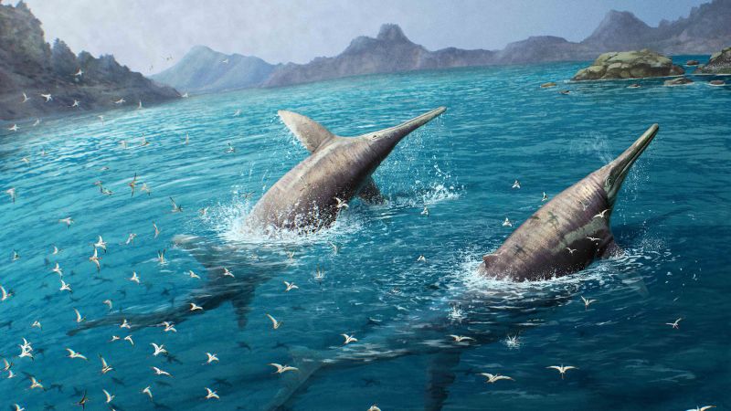 Featured image for "Father-Daughter Team Unearths Largest Prehistoric Marine Reptile"