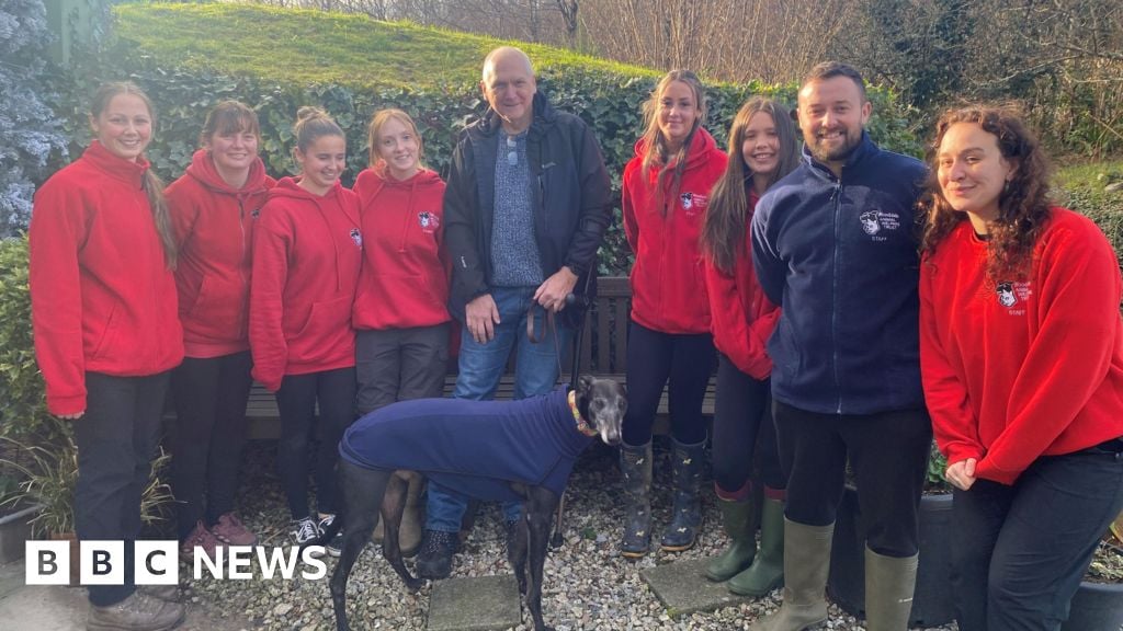 Featured image for Rescue Dog Finds New Home After 1,000 Days