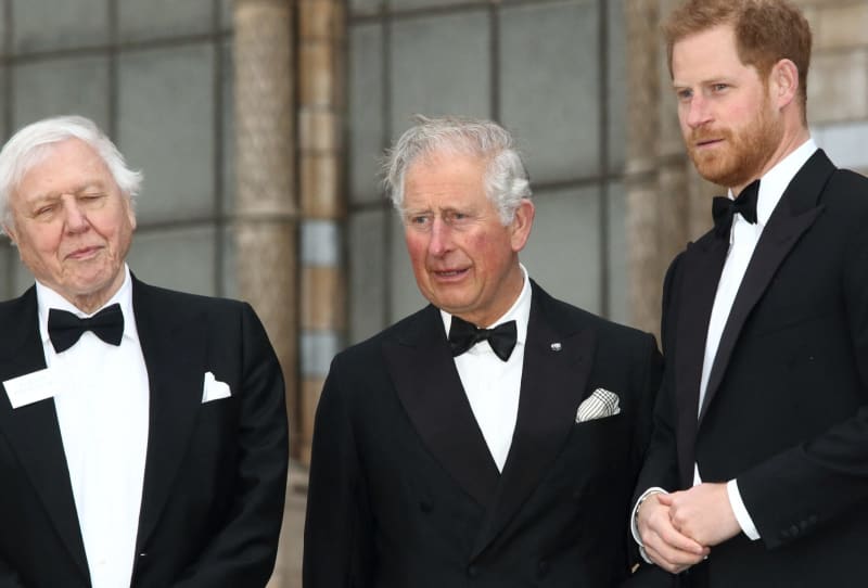 Featured image for Meghan and Harry's Christmas Plans Amid Royal Family Tensions