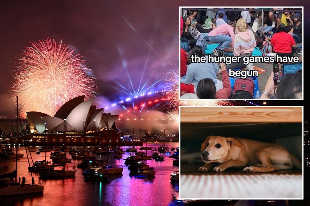 Featured image for "Australian New Year's Eve Chaos Sparks 'Hunger Games' Fears Among Revelers"