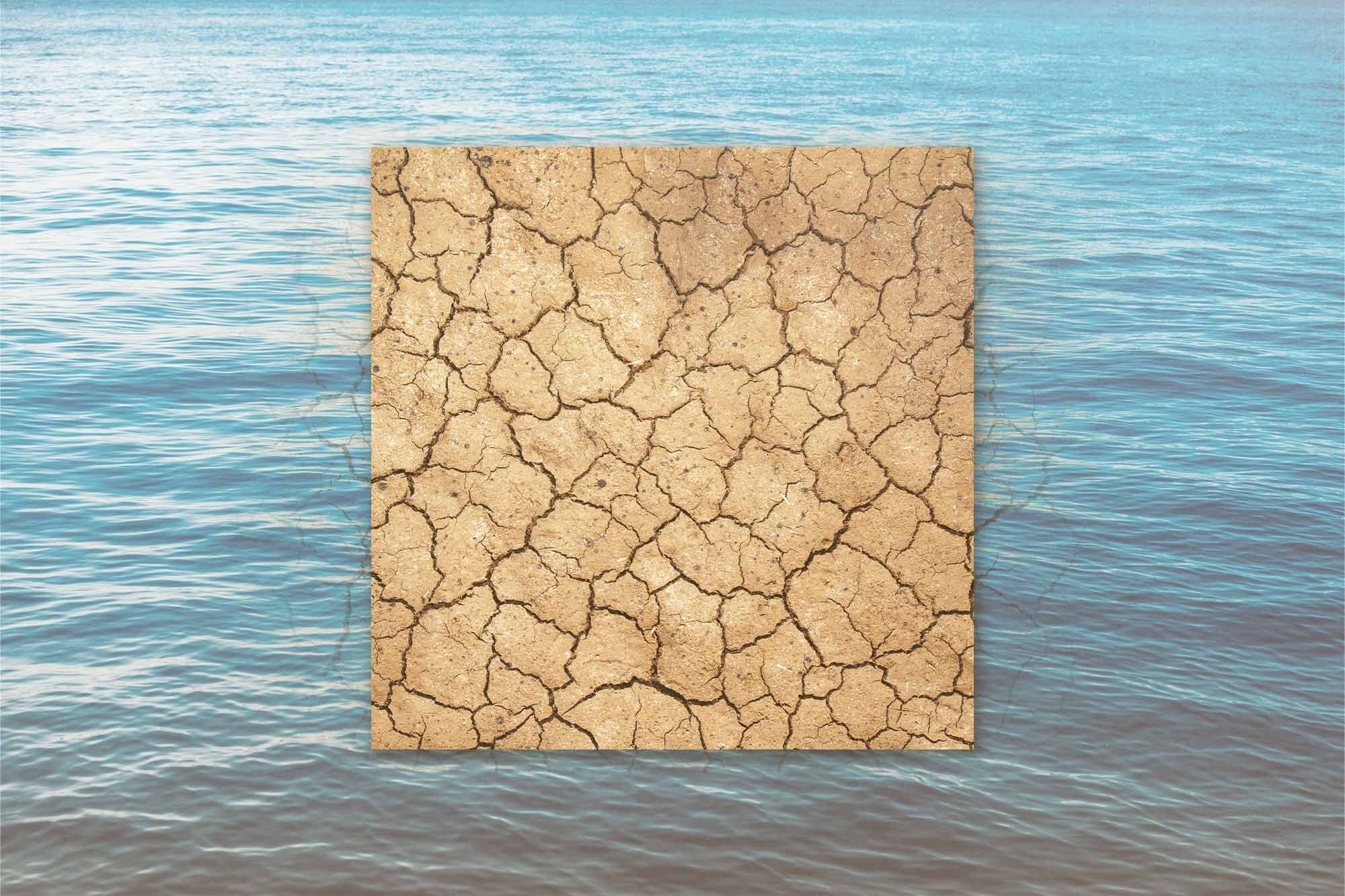 The Limitations of Carbon Capture in Drought-Prone Regions