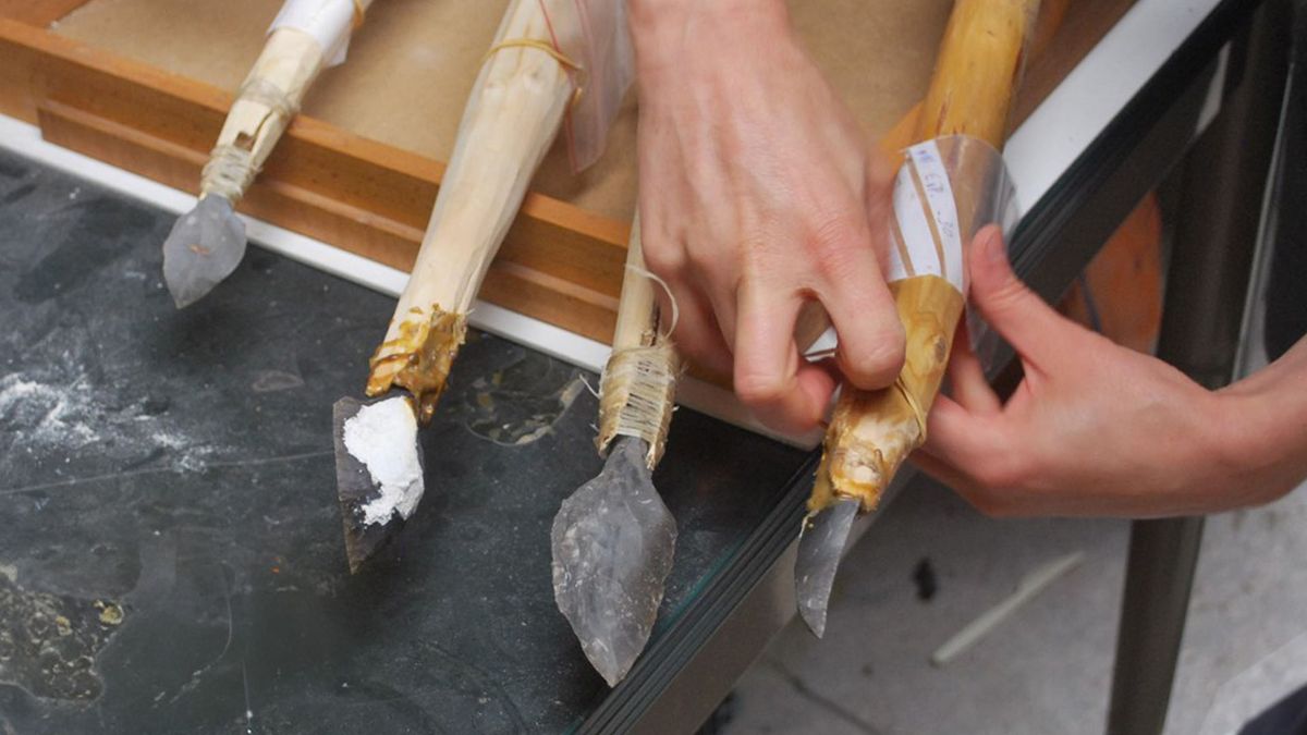 Ancient Europeans Surprised Researchers with Early Mastery of Spear-Throwers