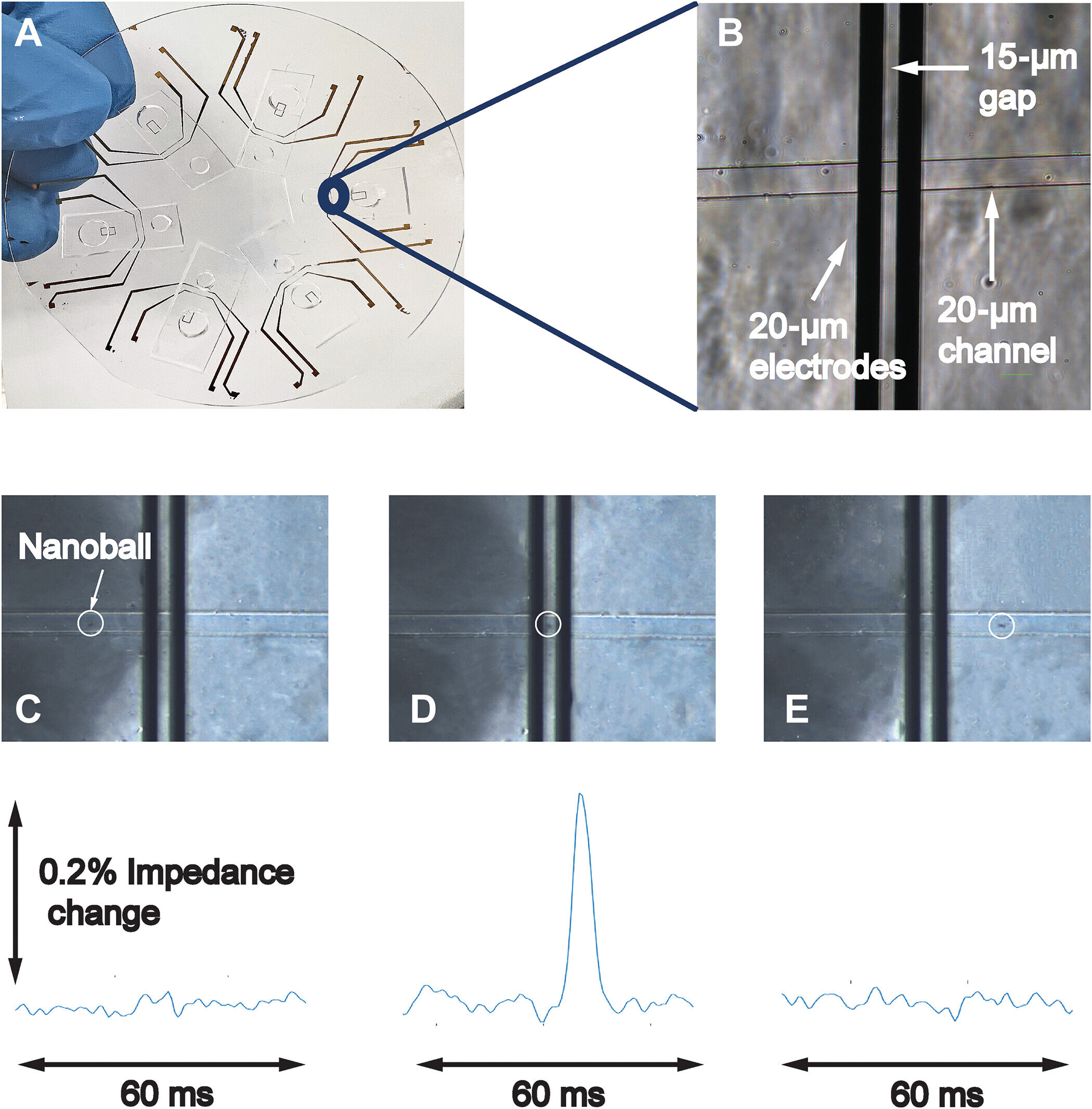 Featured image for "Revolutionary Pathogen Detection: DNA Nanoballs and Electronics Unite"