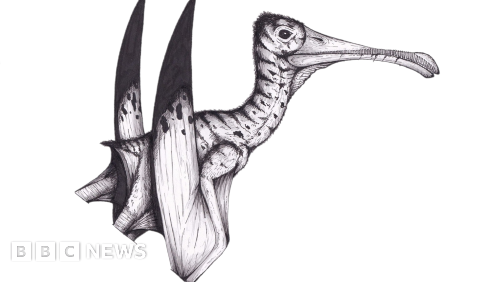 Featured image for "Jurassic Pterosaur Fossil Unveils Massive Wingspan"