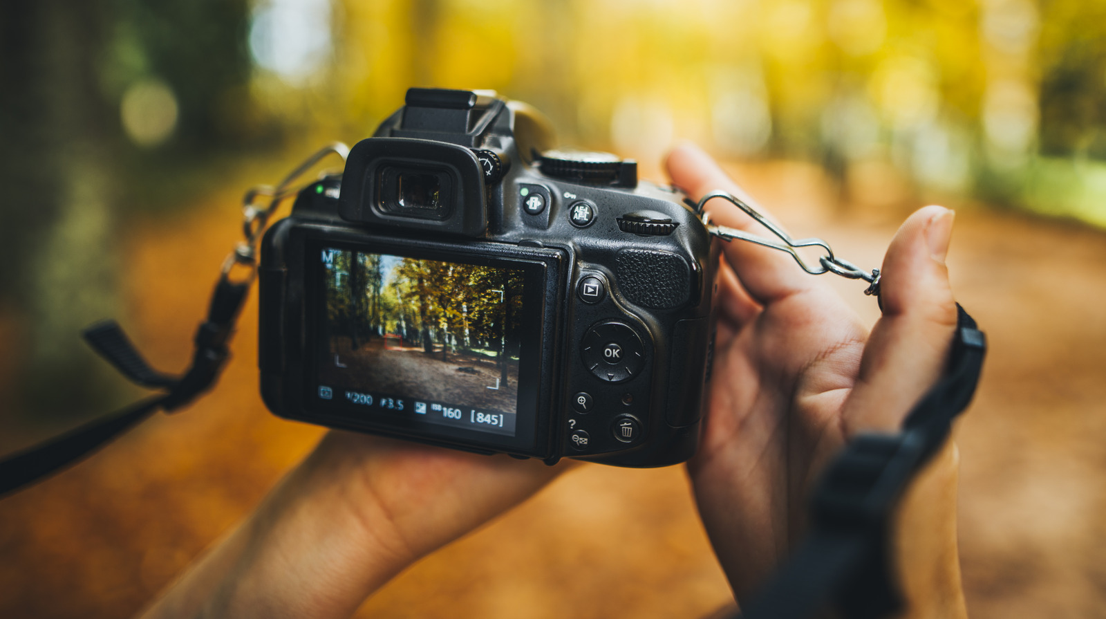 Featured image for "2024's Top 10 DSLR Cameras for YouTube Videos and Beginners"