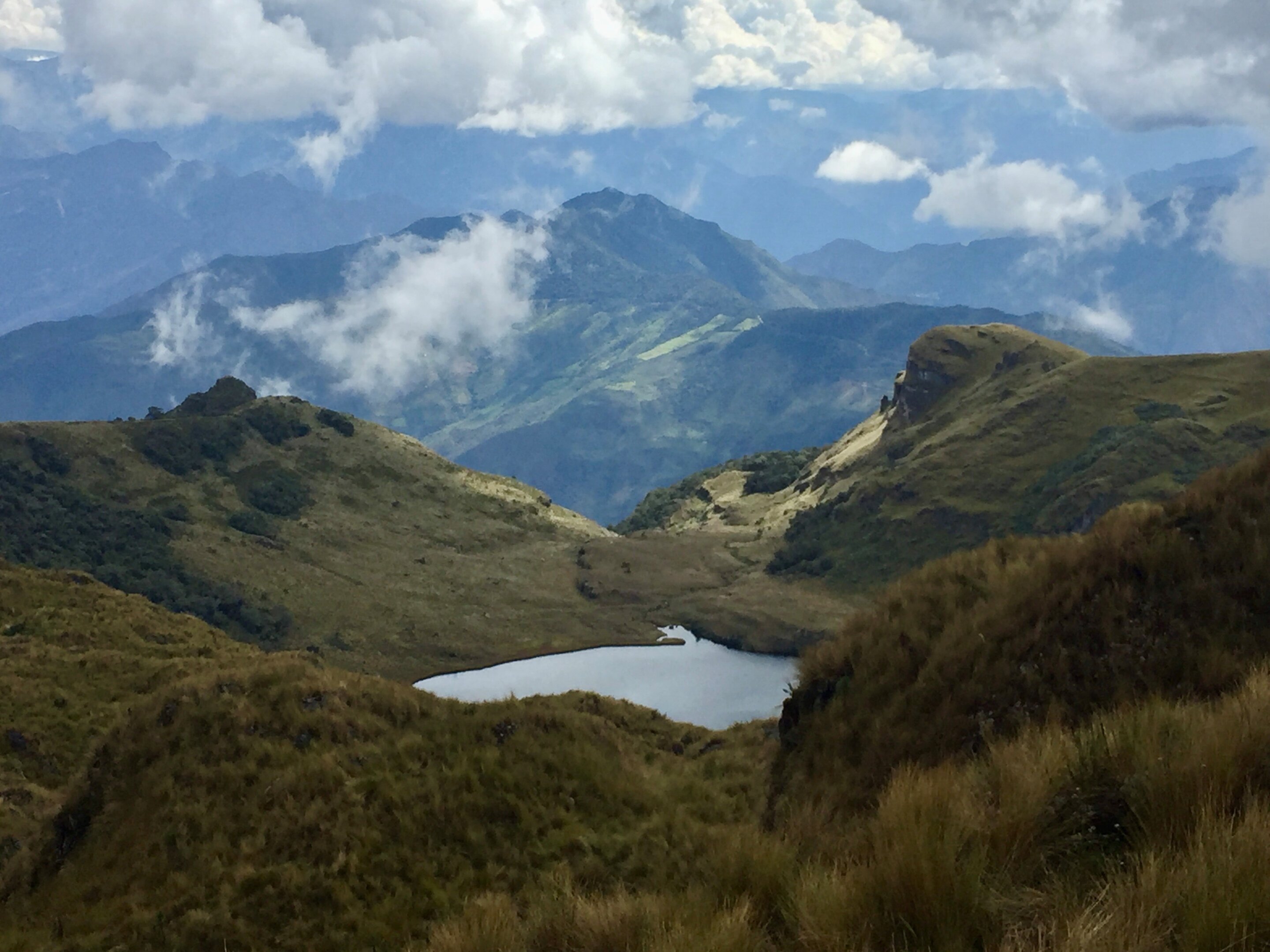 Human Burning and Warming Reshape Andean Ecosystems: Study