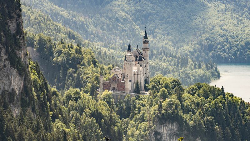 Fatal Attack on American Tourist Near Germany's Neuschwanstein Castle Leads to Arrest