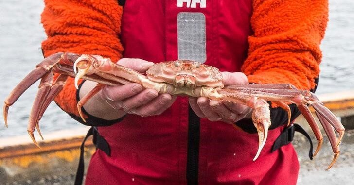 Norway Supreme Court bans EU ships from fishing Arctic snow crab due to oil concerns.