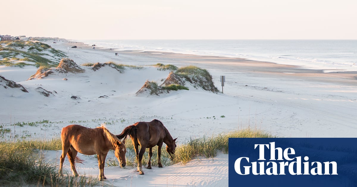 Featured image for North Carolina 'Horseman of the Year' Arrested for Shooting Son's Horse