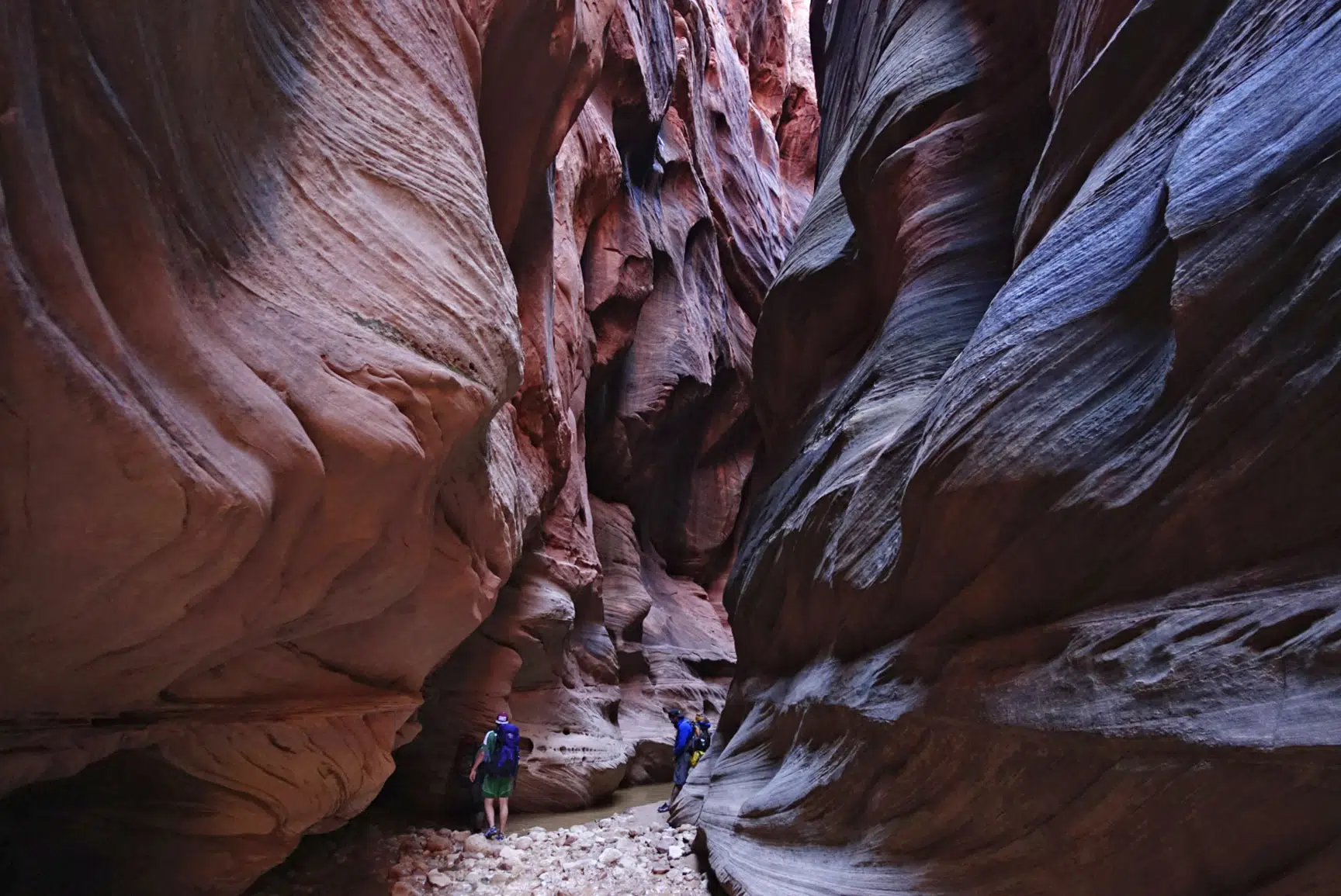 Deadly Flash Floods Strike Utah and Arizona Canyons.