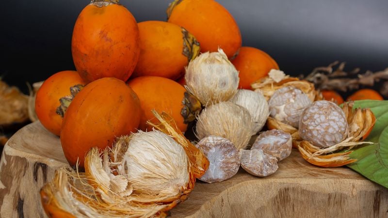 Featured image for Ancient Thai Teeth Reveal 4,000-Year-Old Psychoactive Nut Use