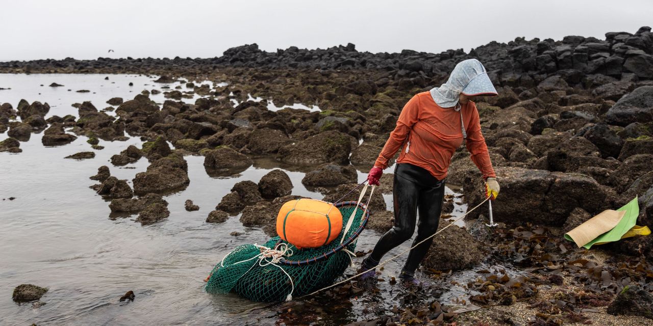 Fukushima's Radioactive Water Disposal Sparks Global Concerns