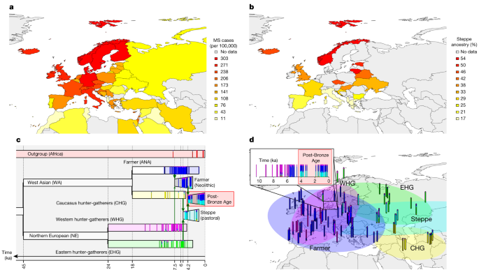 Featured image for "Uncovering the Ancient Origins of Multiple Sclerosis Risk in Modern Populations"