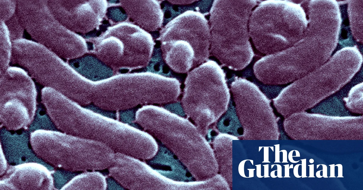 Featured image for Flesh-Eating Bacteria Outbreak Claims Multiple Lives Along Gulf Coast and Florida