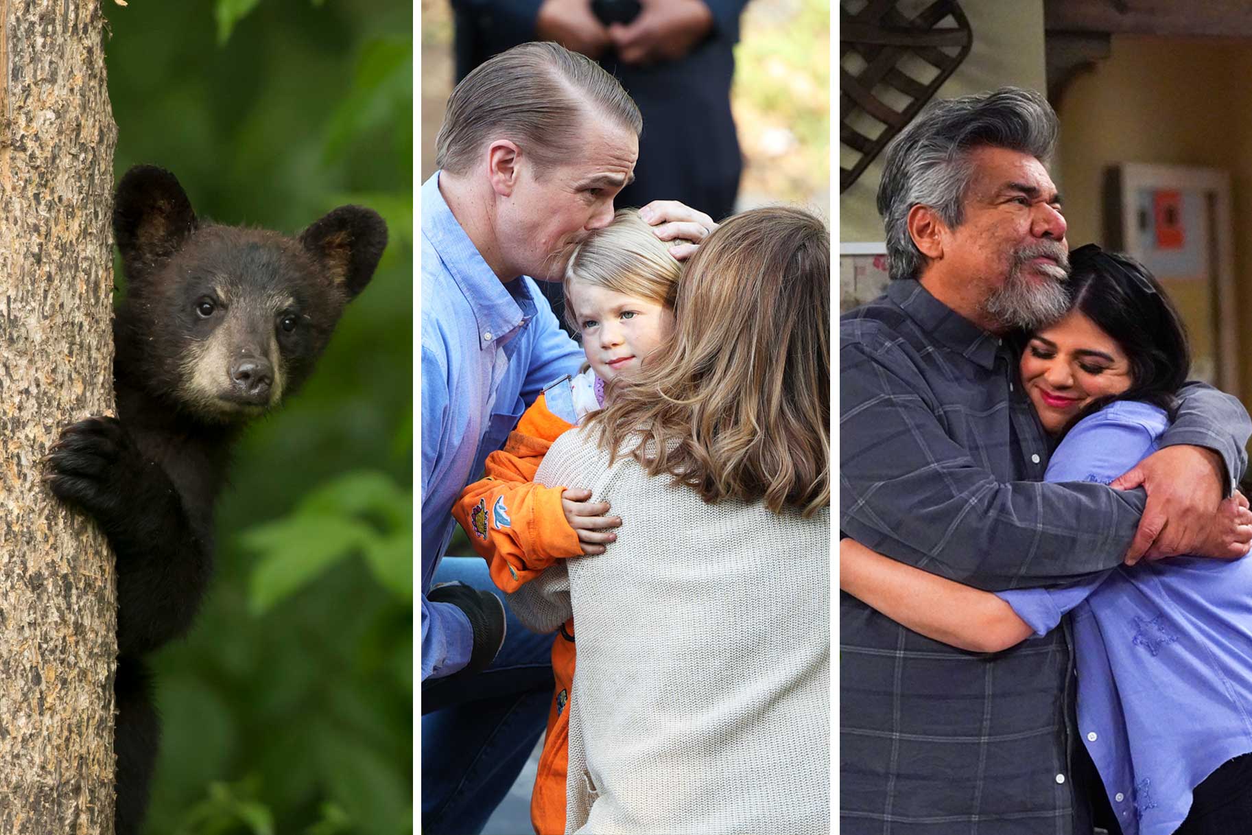 NBC Unveils Strike-Proof Fall 2023 Schedule with Night Court and Law & Order Series