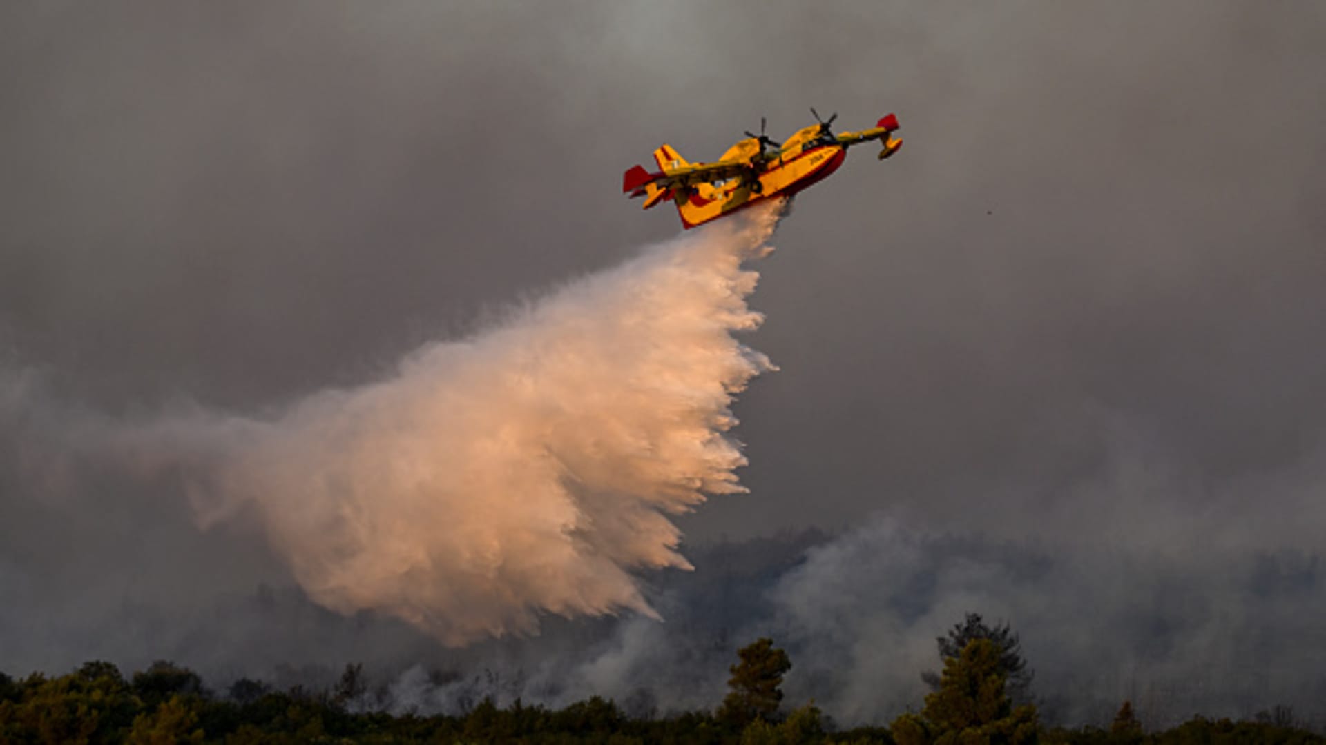 "International Efforts to Combat Wildfires and Heatwaves Amidst Climate Change Crisis"