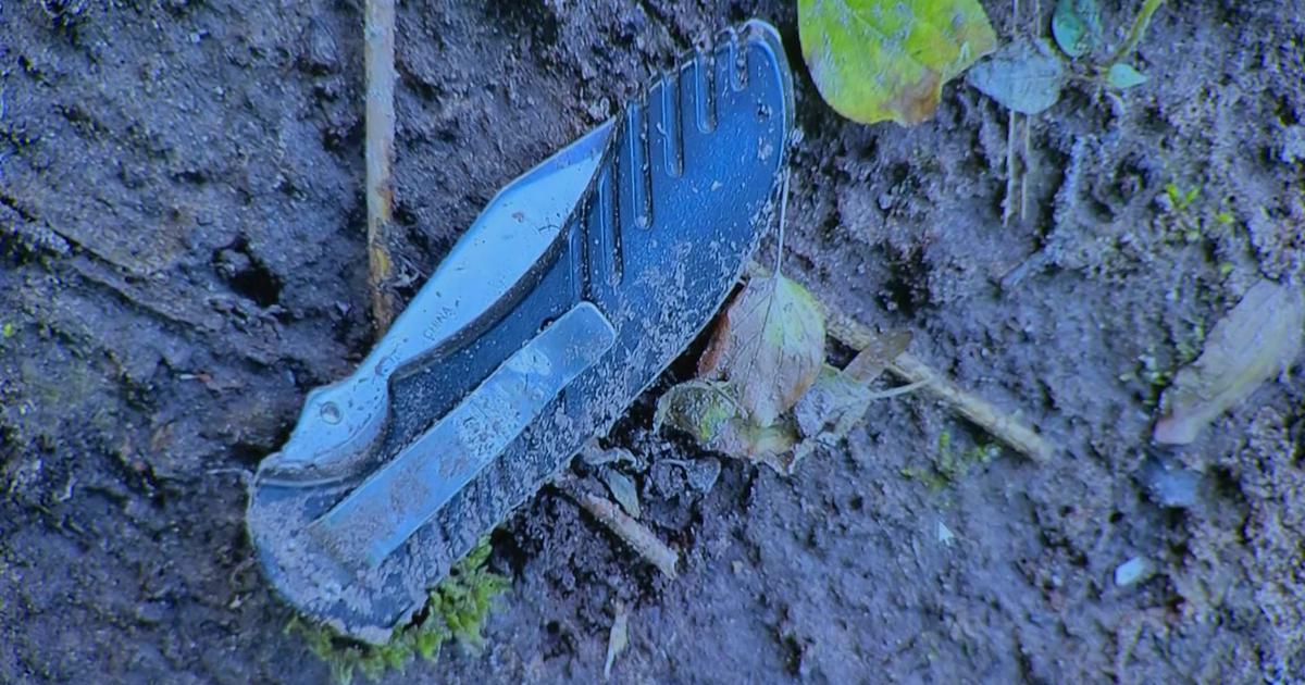 Featured image for "Chaos and Testimonies: Day 5 of Nicolae Miu's Apple River Stabbing Trial"