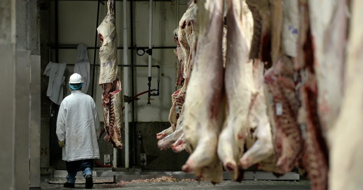 Colorado Beef Plant Readies Historic 3,800-Worker Strike