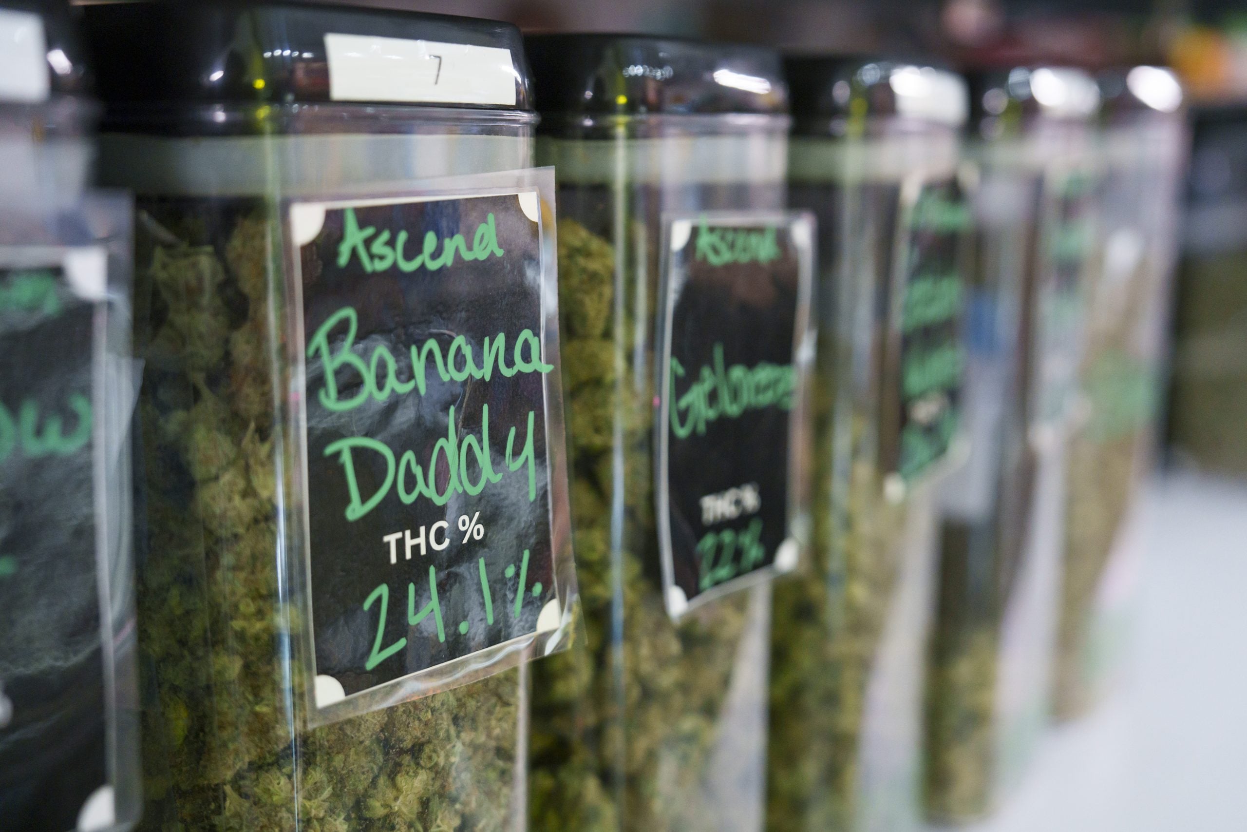 Featured image for Young Adults Turn to Cannabis and Alcohol for Sleep, Study Finds