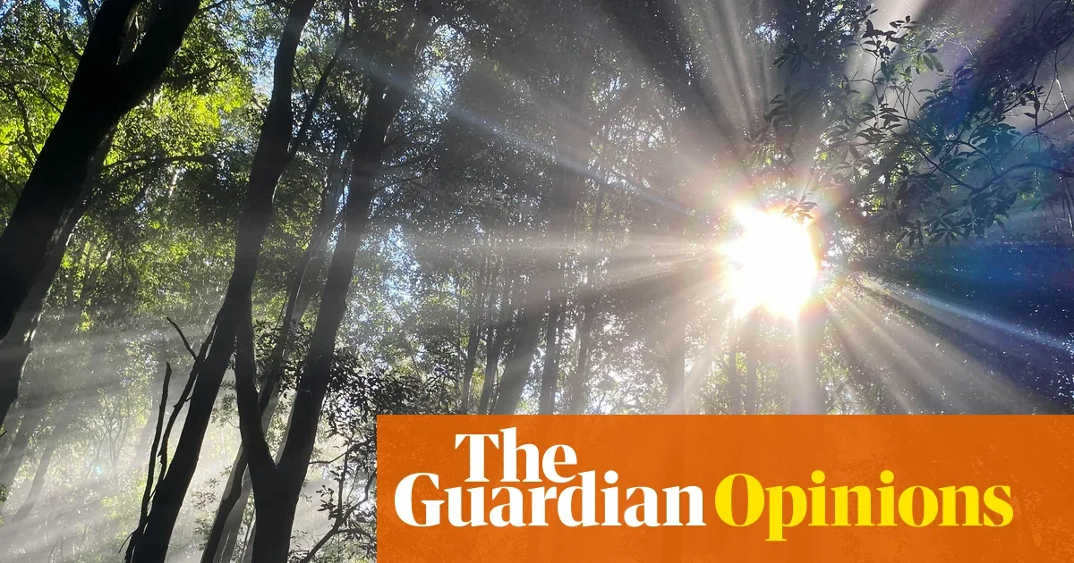 Featured image for Safe Methods to Reflect Sunlight and Protect Earth