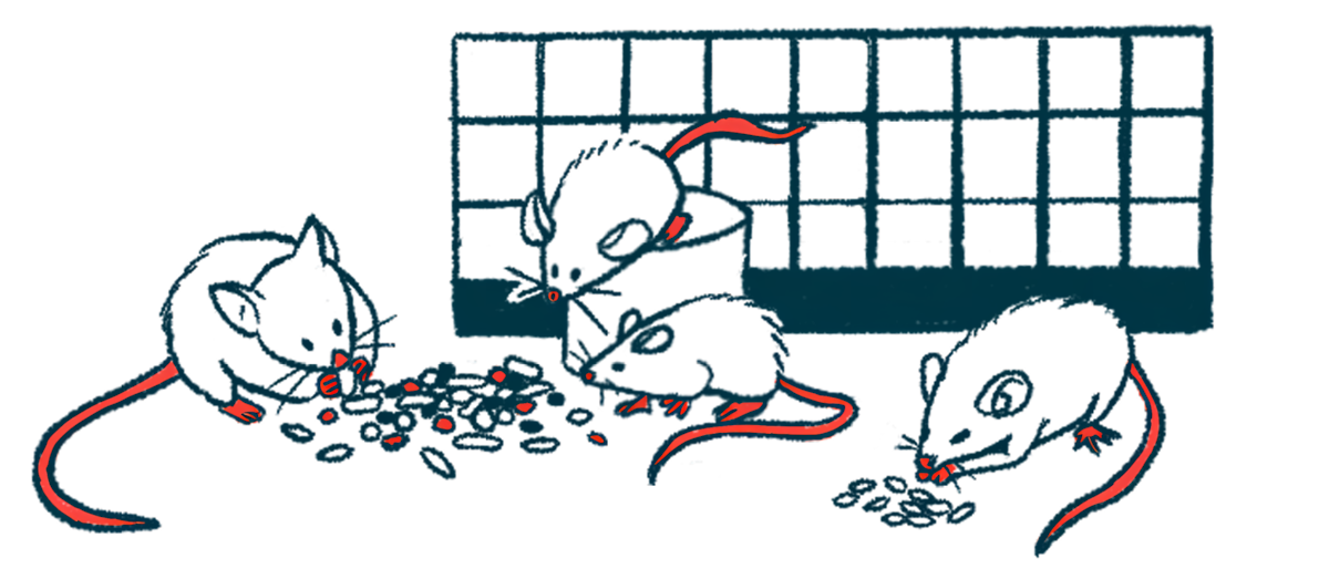 Featured image for Keto Diet's Impact on Gut Microbiome May Alleviate Autoimmune Disorders