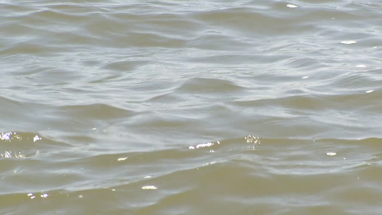 Featured image for Multiple Bodies Discovered in Texas Lakes Raise Concerns