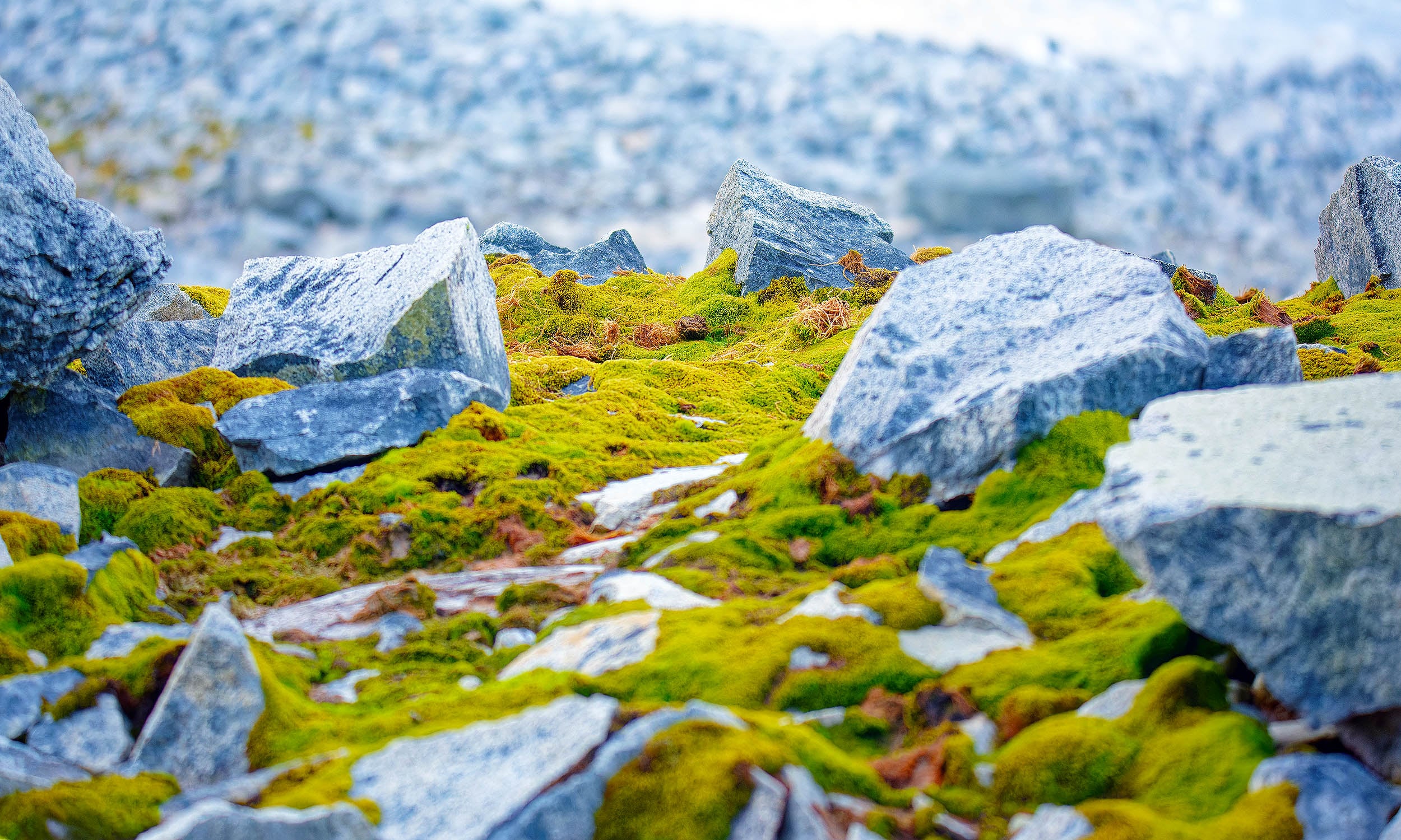 Featured image for Ancient Rivers and Ecosystems Unveiled Beneath Antarctica's Ice