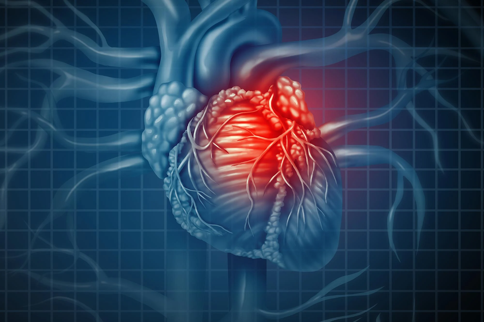 Featured image for Protein Intake Linked to Slower Heart Failure Progression
