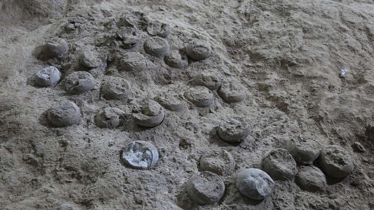 Featured image for Ancient Dinosaur Eggs in China Dated to 86 Million Years Ago Using Atomic Clock