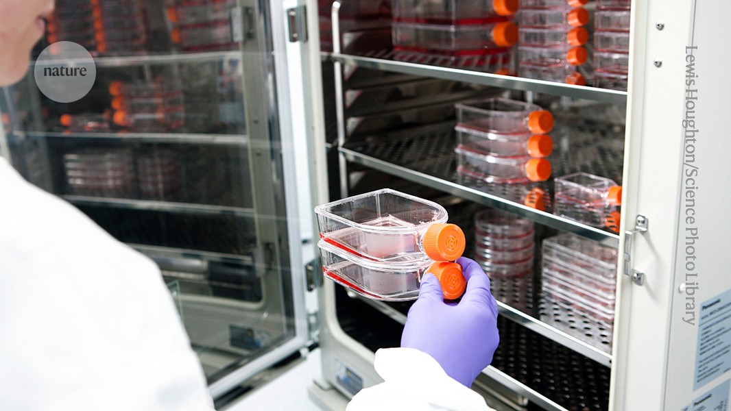 Featured image for Embracing Alternatives to Animal Testing for a Sustainable Future