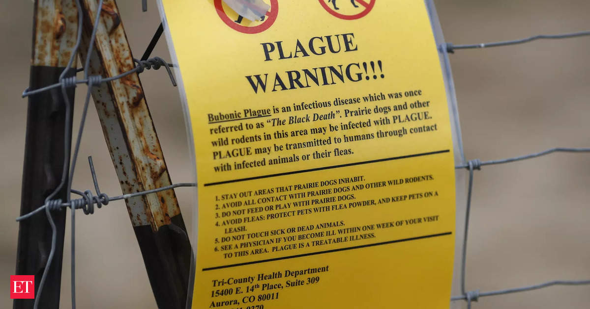 Featured image for "Bubonic Plague Resurfaces in Oregon: Symptoms, Prevention, and Risks Explained"