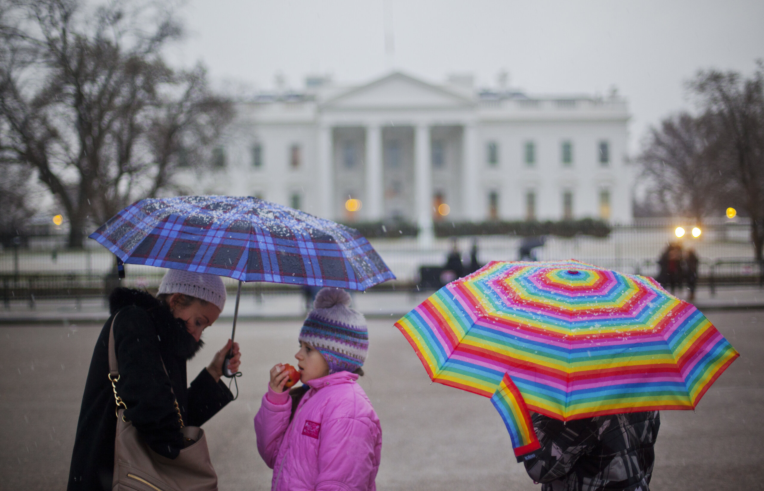 Featured image for "Tuesday's Weather: Rain, Snow, and School Delays Expected in DC Region"