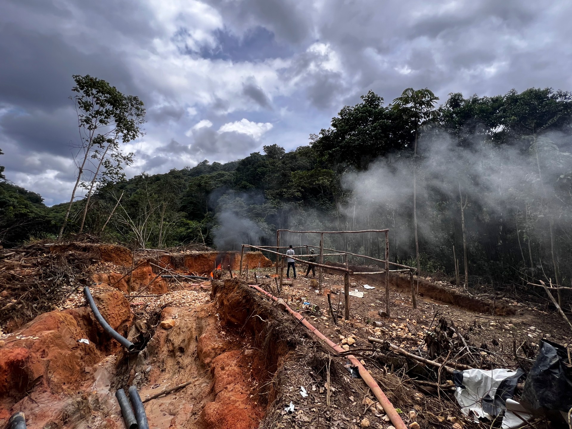 Brazil's Deforestation Crisis Continues Despite Lula Government's Efforts