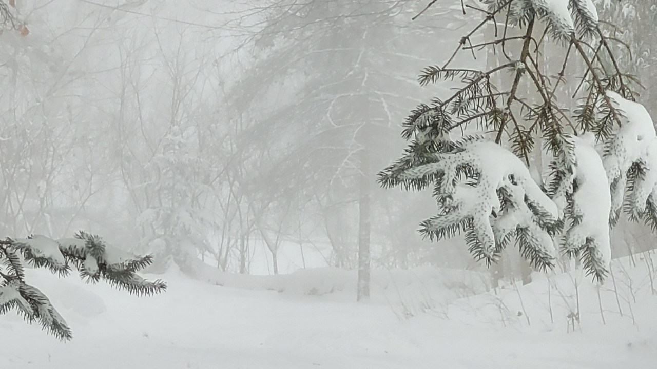 "Michigan Braces for Impending Winter Storm and Dangerous Cold"