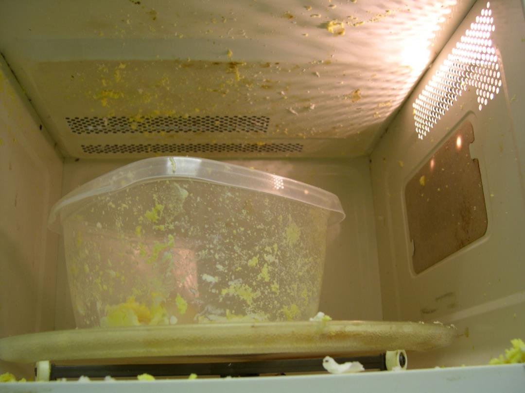 Featured image for The Dangers of Microwaving Plastic: Researchers Issue Warning