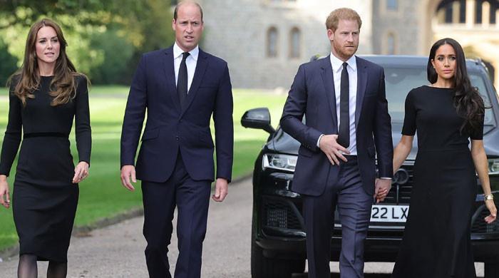 "Royal Family Deletes Prince Harry's 2016 Statement on Meghan Markle"