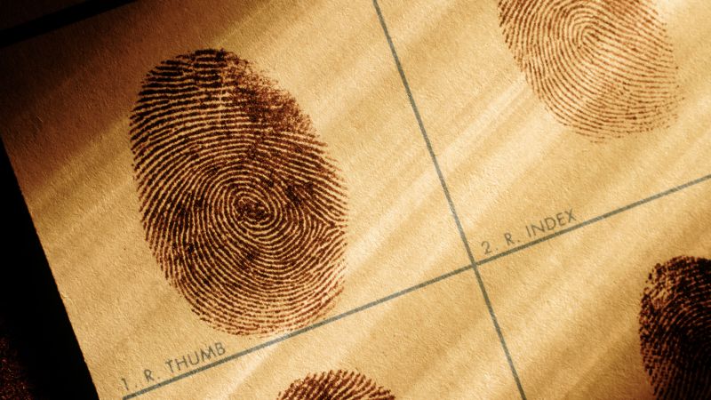 Featured image for AI Study Challenges Uniqueness of Fingerprints