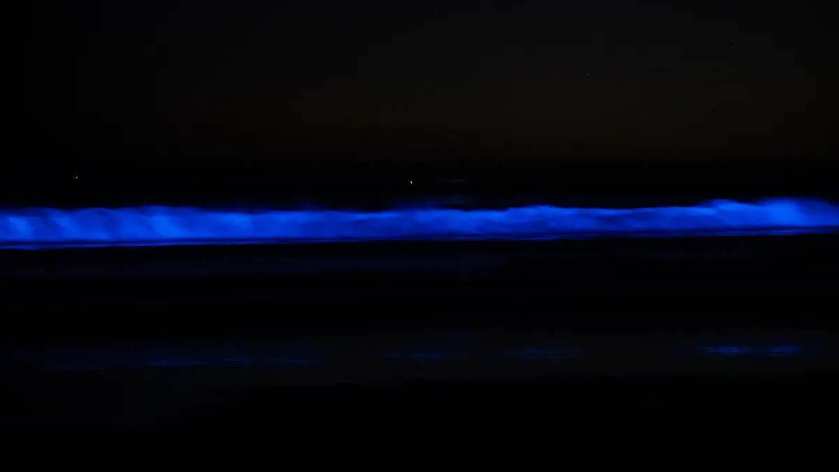 "Bioluminescent Waves Illuminate Southern California's Coastline Once Again"