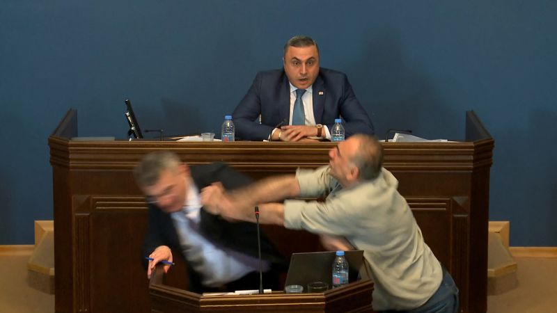 "Violent Brawl Erupts in Georgian Parliament Over 'Foreign Agent' Law"
