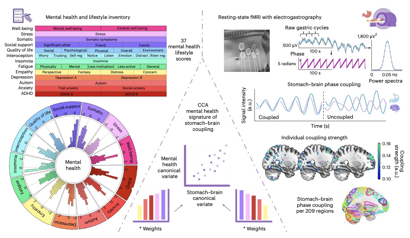 Featured image for Gut-Brain Connection: How Stress and Diet Affect Your Emotional Well-Being