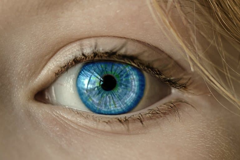 Featured image for The Importance of Eye Color Genes for Retinal Health