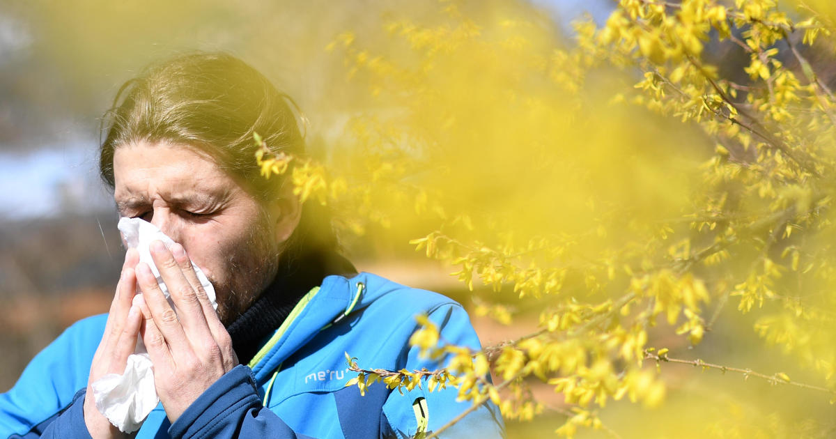 Featured image for "Worsening Spring Allergy Season: Understanding Symptoms, Pollen Count, and Climate Impact"