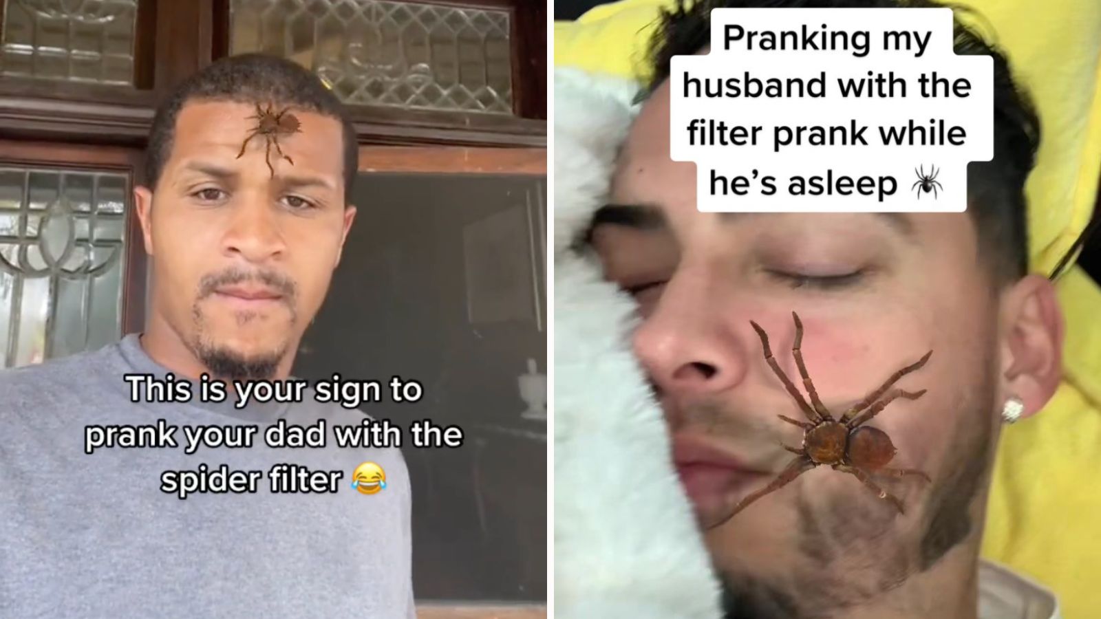 "Master the Viral Spider Filter Prank on TikTok with These Simple Steps"