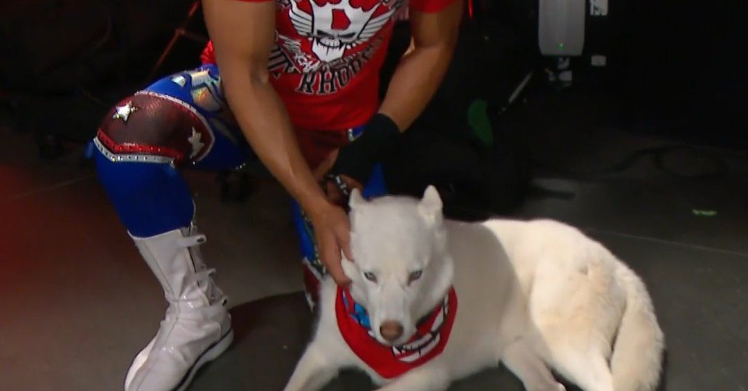 Featured image for "Cody Rhodes and Friends Take WWE Raw by Storm"