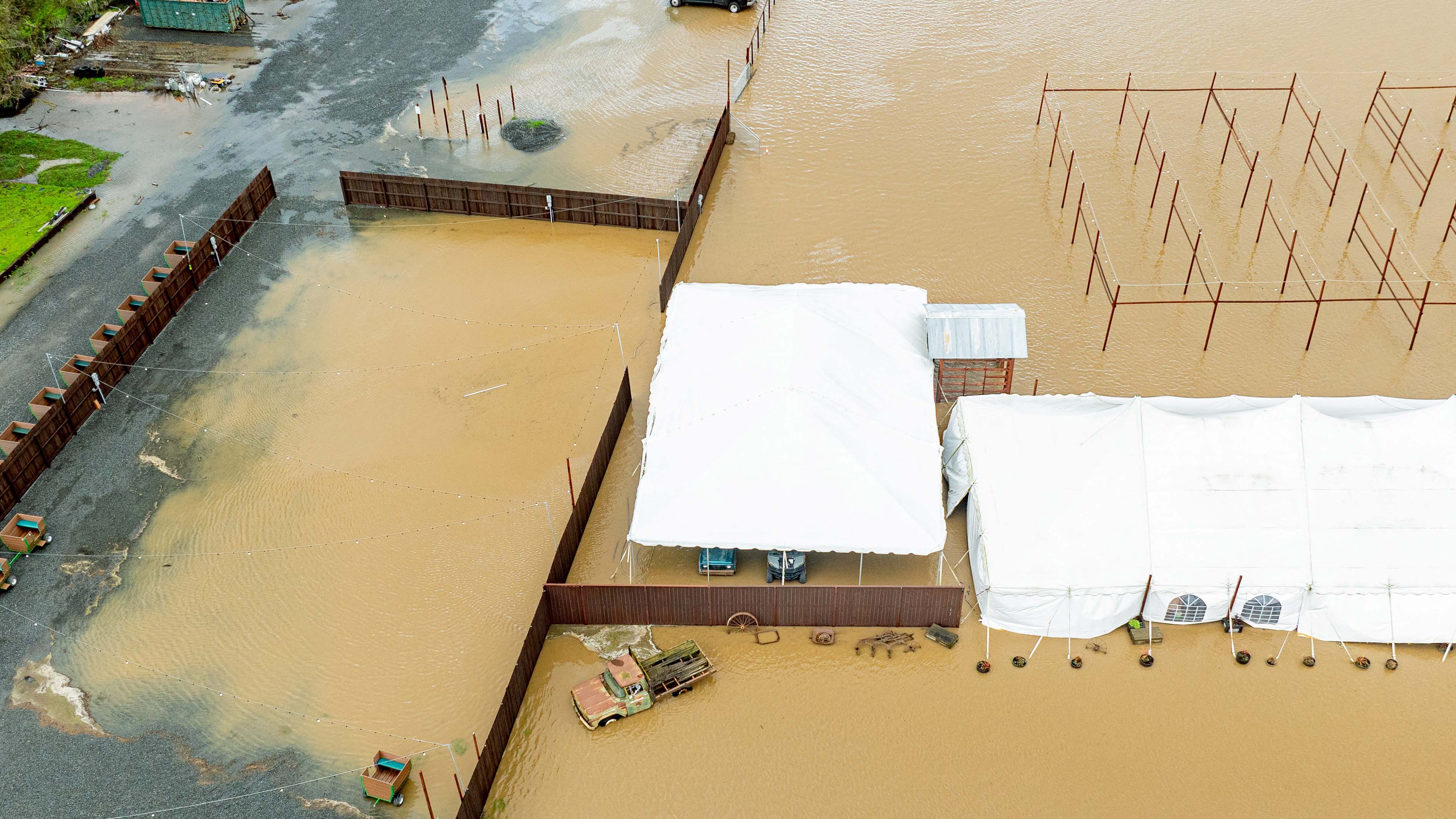 "82-year-old Killed by Falling Redwood Tree in California Flooding"