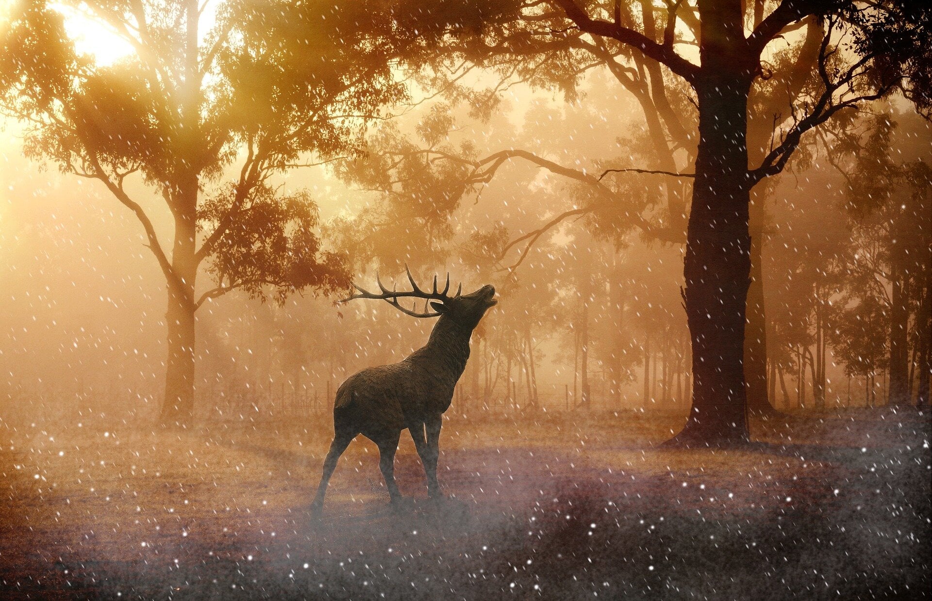 Featured image for "Scientists Worried as Zombie Deer Disease Spreads Amid Human Transmission Concerns"